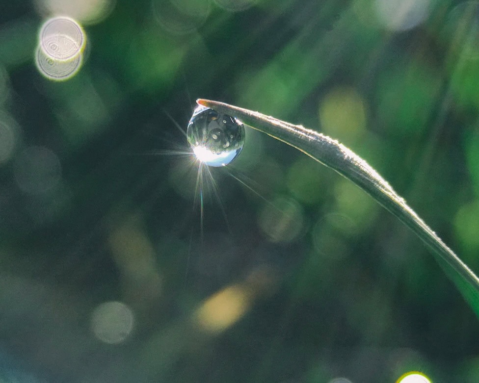 Why choose Hypnotherapy with Marcia Montgomery