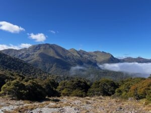 Te Kahurangi